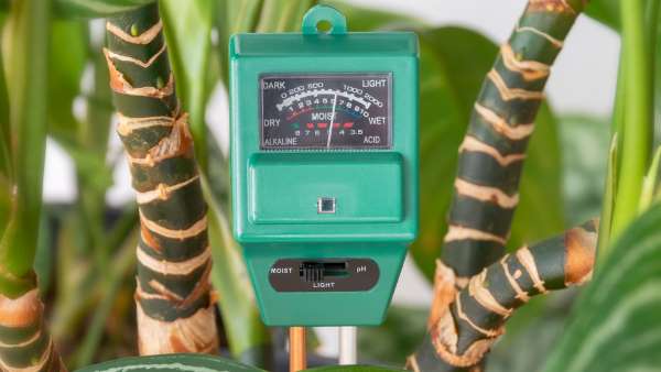 A soil pH meter displaying the light, acidity, and moisture levels